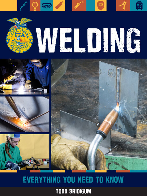 Title details for Welding by Todd Bridigum - Available